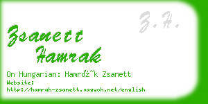 zsanett hamrak business card